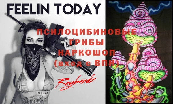 COCAINE Бородино
