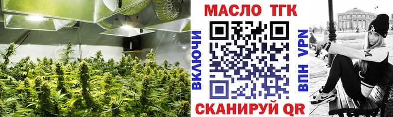 сколько стоит  Далматово  ТГК гашишное масло 