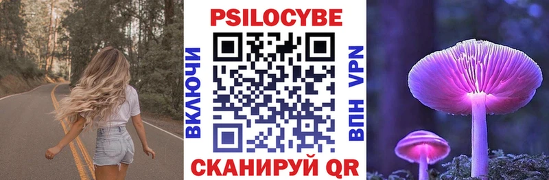 цена наркотик  даркнет телеграм  Псилоцибиновые грибы прущие грибы  Далматово 